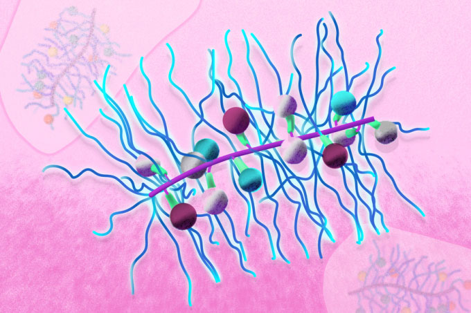 Hạt nano hình bàn chải trong điều trị ung thư