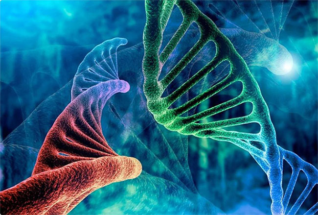 Vai trò của DNA không mã hóa trong thông tin di truyền