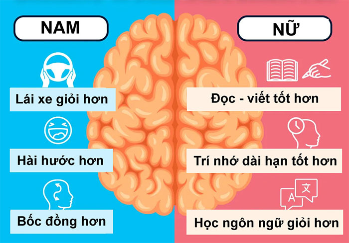 Khả năng định hướng và hài hước: Những khác biệt giữa bộ não đàn ông và phụ nữ